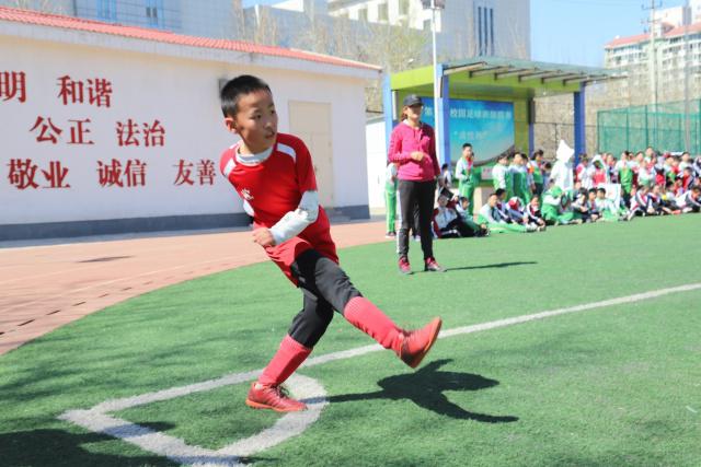 ued国际应用下载